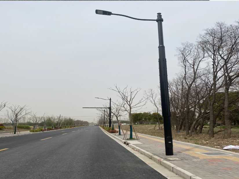 新民市上海综合杆 太阳能路灯工程